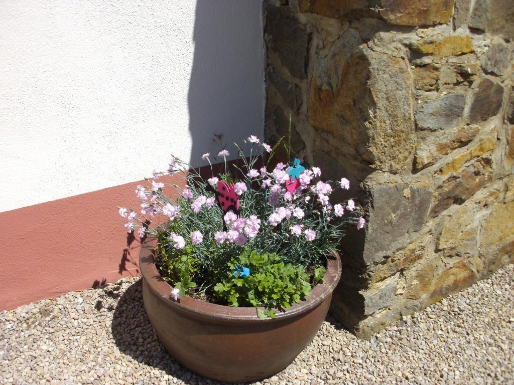Haus Klara Hotel Mannebach  Luaran gambar